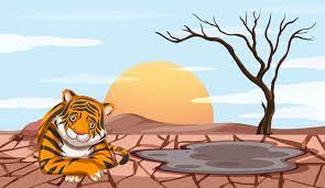 वाघोबाची वाचा गेली…