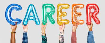 उत्तम करीअर म्हणजे काय ?